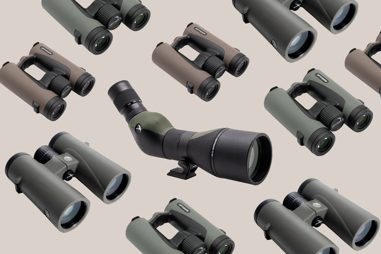 Optisan Optics