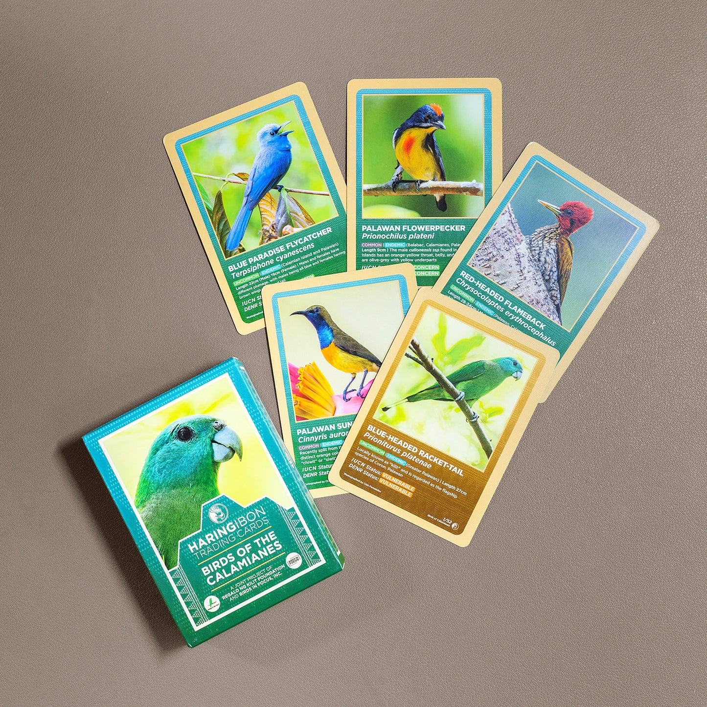 Birds of the Calamianes Trading Cards