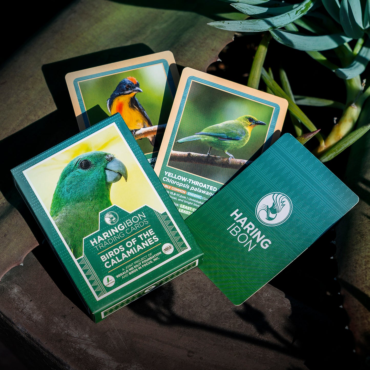 Birds of the Calamianes Trading Cards