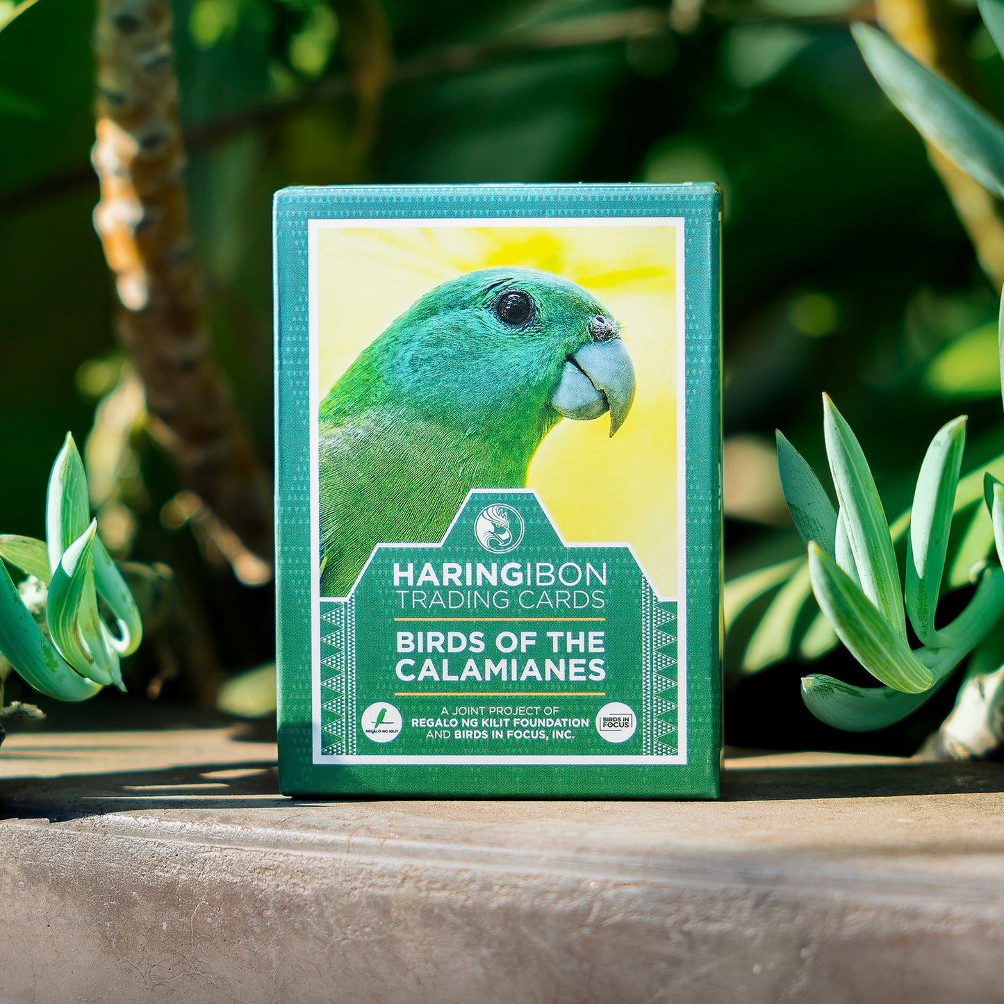 Birds of the Calamianes Trading Cards