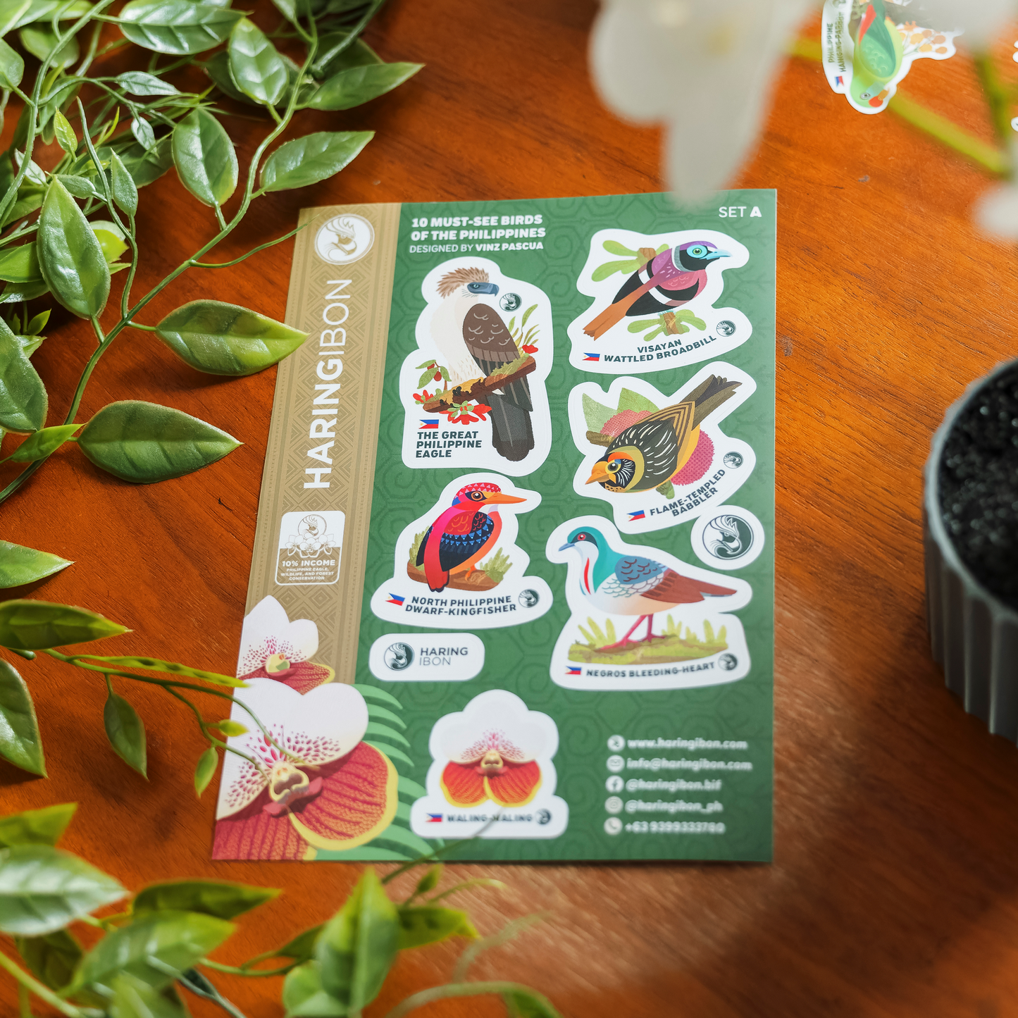 10 Must-see Birds of the Philippines Stickers 2-set