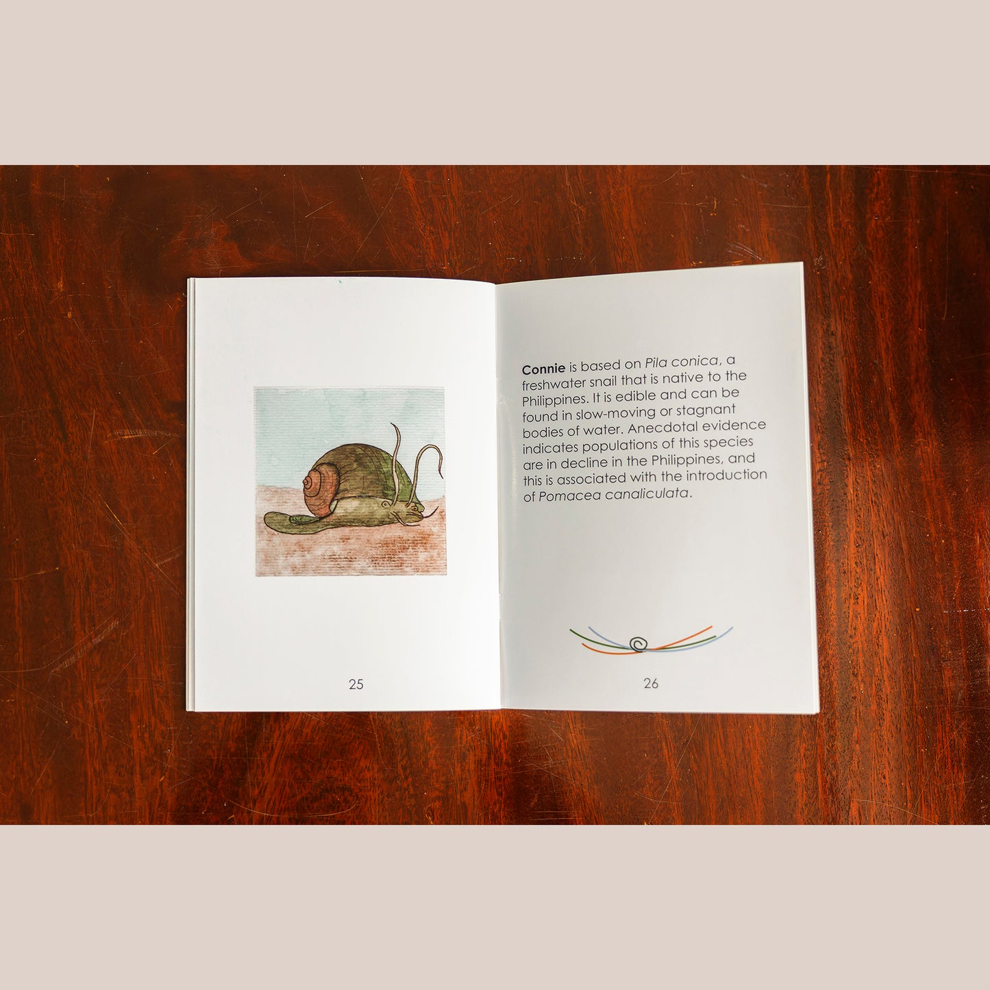 A Tale of Two Snails