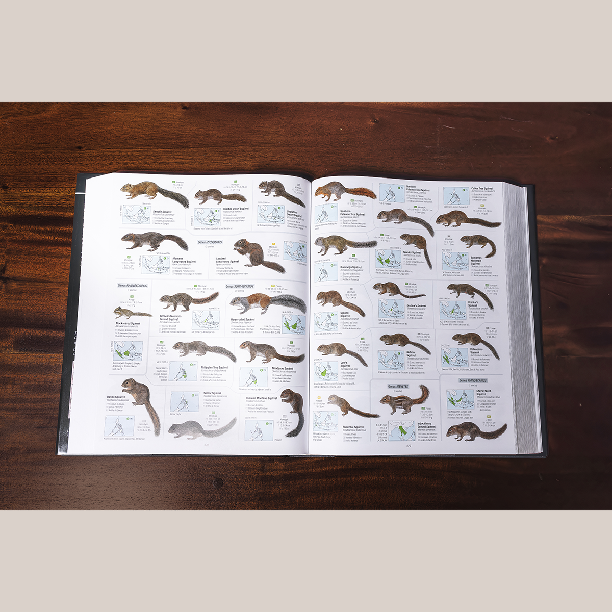 All the Mammals of the World