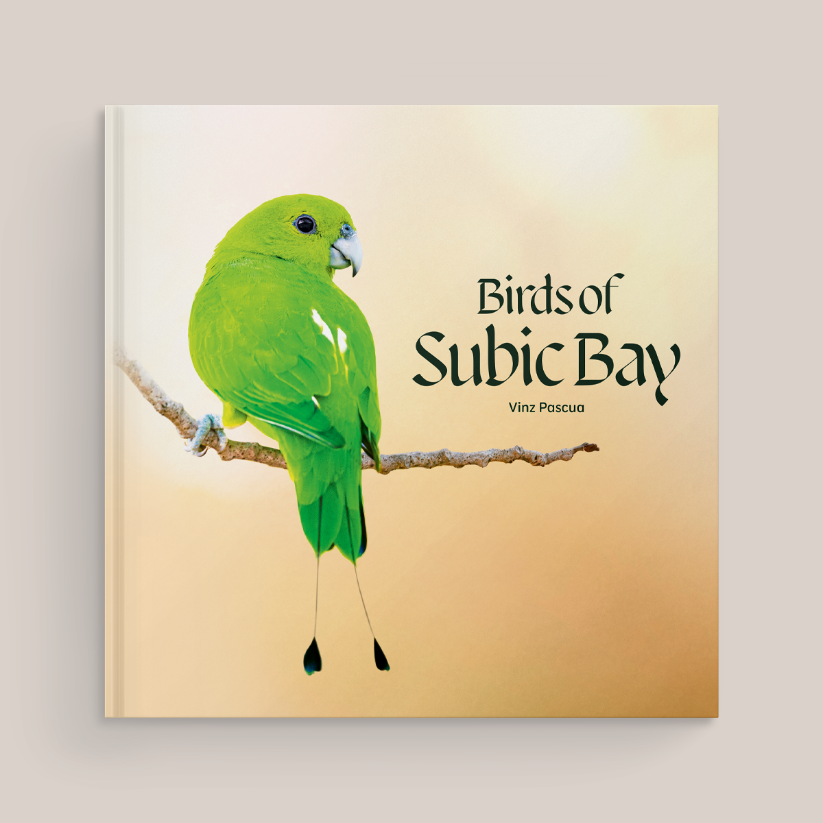 Birds of Subic Bay