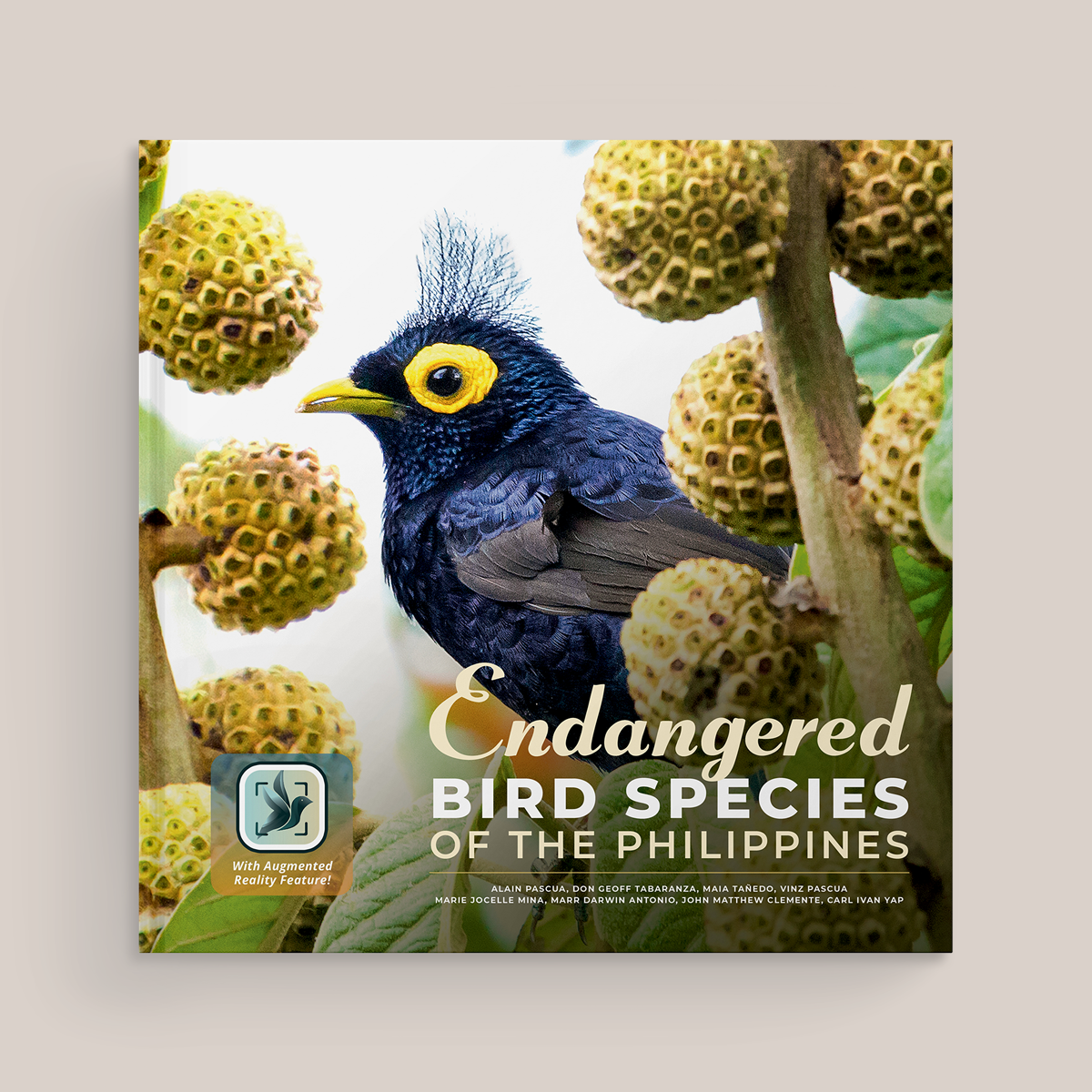 Endangered Bird Species of the Philippines