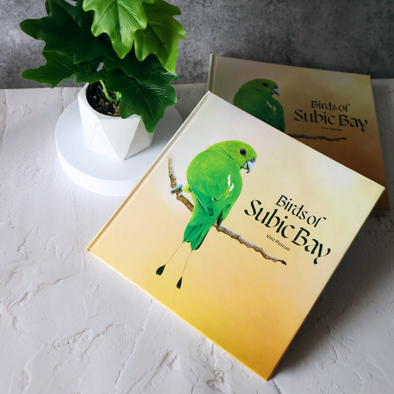 Birds of Subic Bay