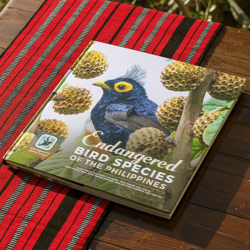 Endangered Bird Species of the Philippines