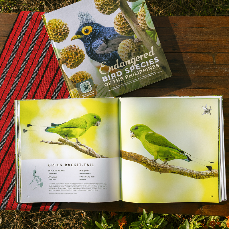 Endangered Bird Species of the Philippines