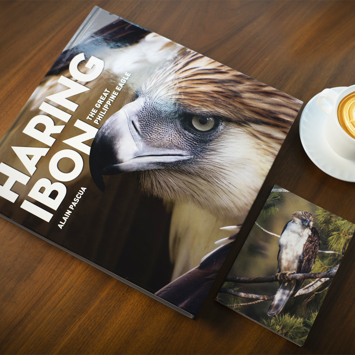 Haring Ibon: The Great Philippine Eagle