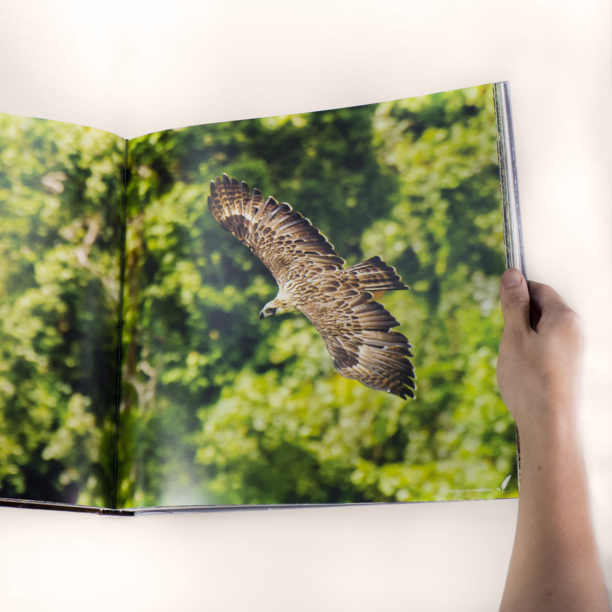 Haring Ibon: The Great Philippine Eagle