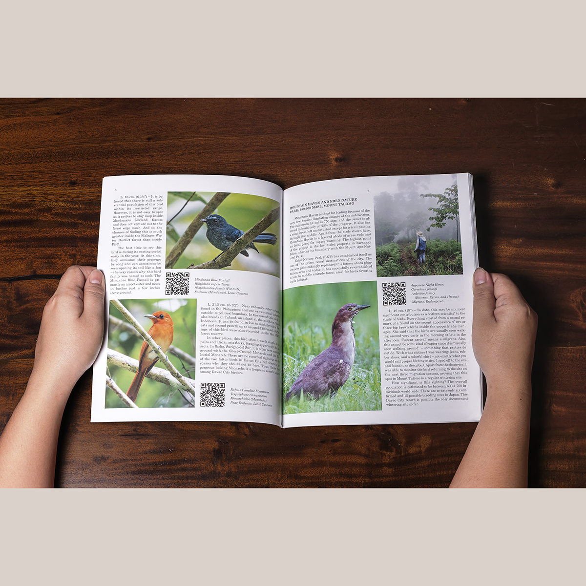 Birds of Davao City Bundle