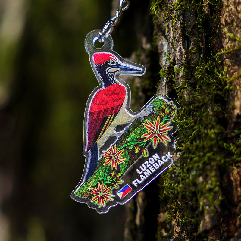 Birds of Subic Bay Keychains