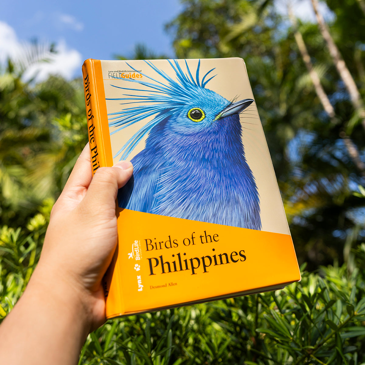 Birds of the Philippines (Flexicover)