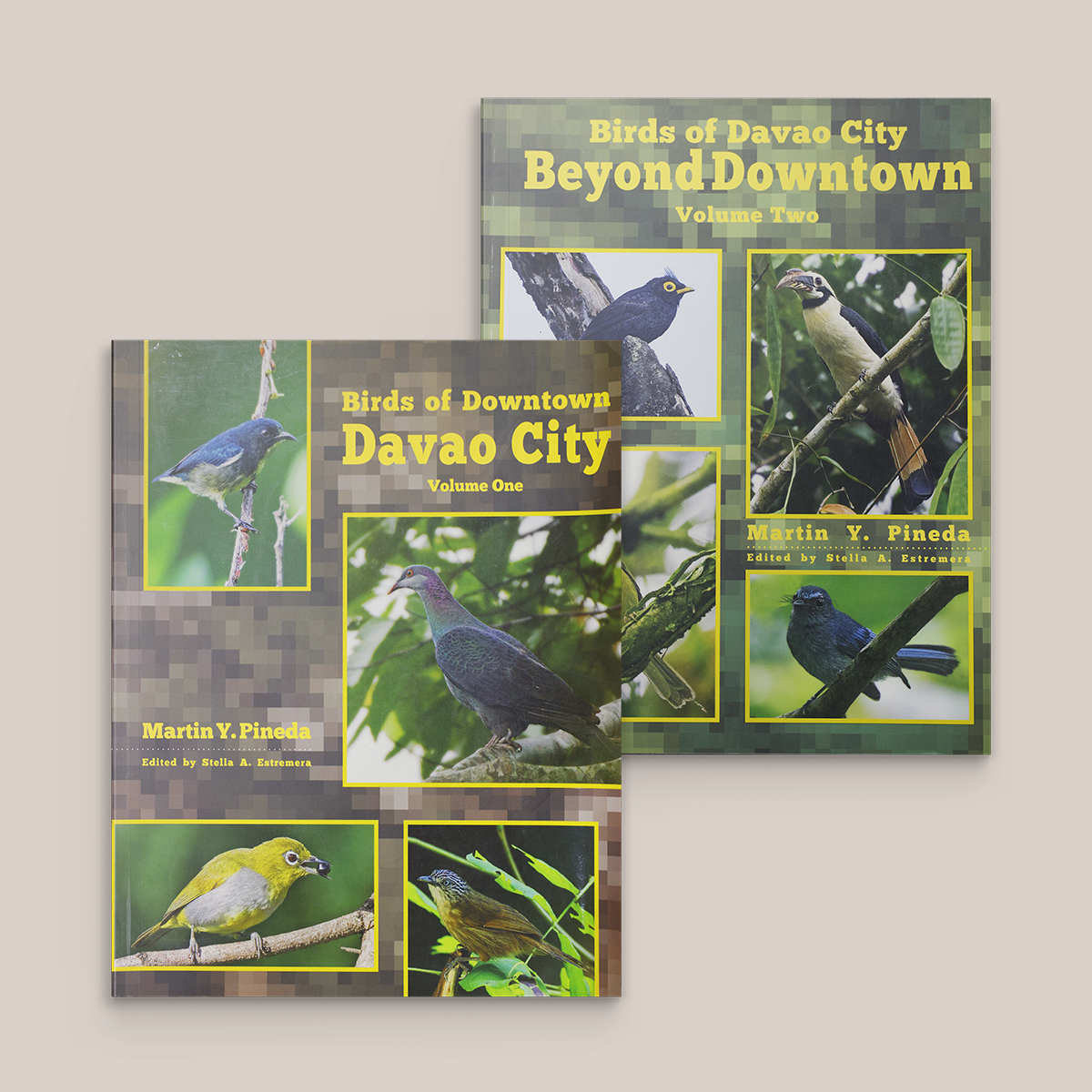 Birds of Davao City Bundle