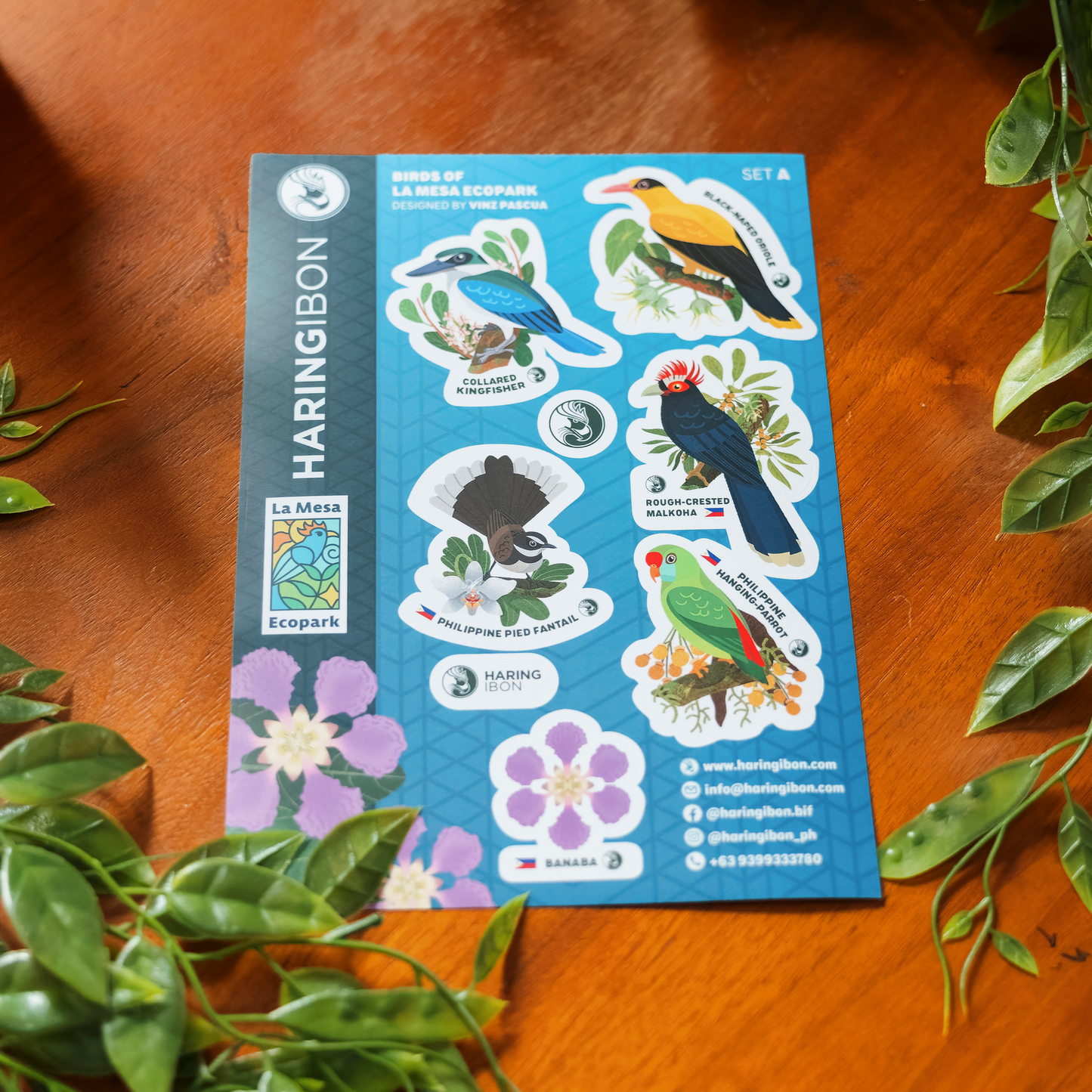 Birds of La Mesa Ecopark Stickers 2-set