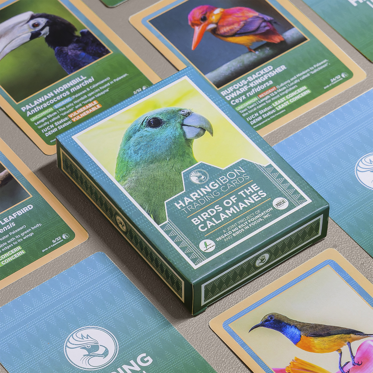 Birds of the Calamianes Trading Cards
