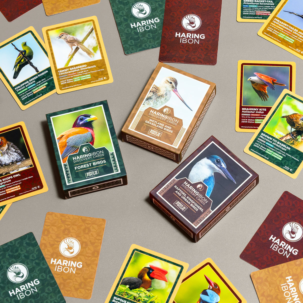 Haring Ibon Discovery Cards - Bundle of 3