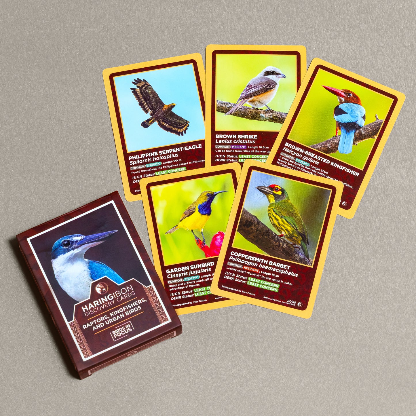 Haring Ibon Discovery Cards: Raptors, Kingfishers, and Urban Birds