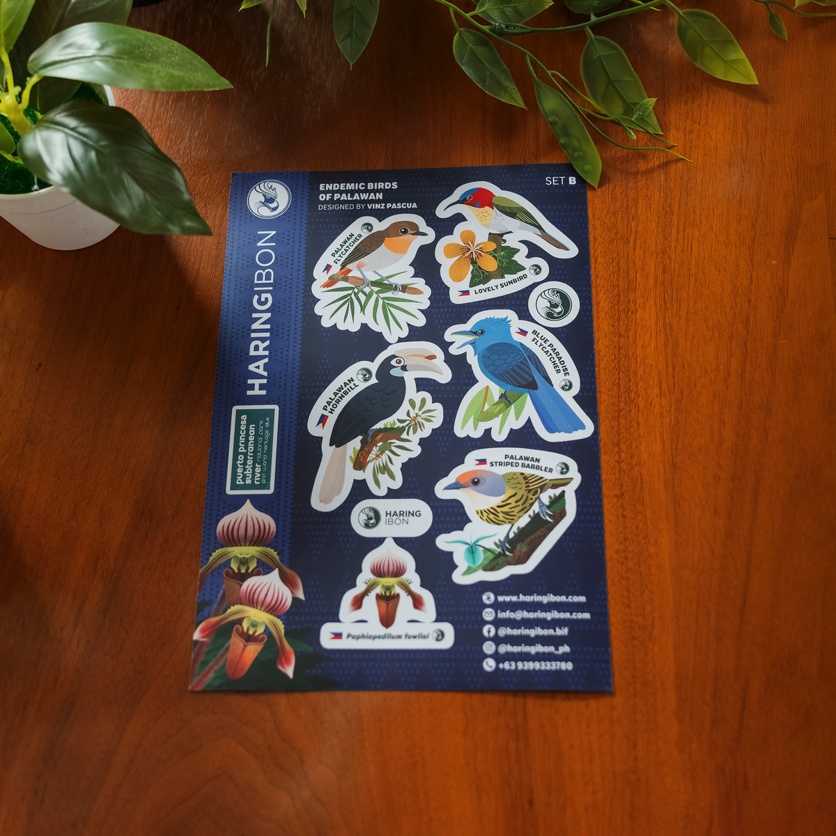 Endemic Birds of Palawan Stickers 2-set