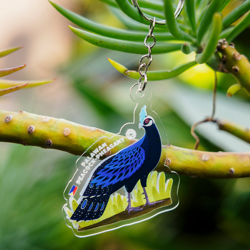 10 Must-see Birds of the Philippines Keychains