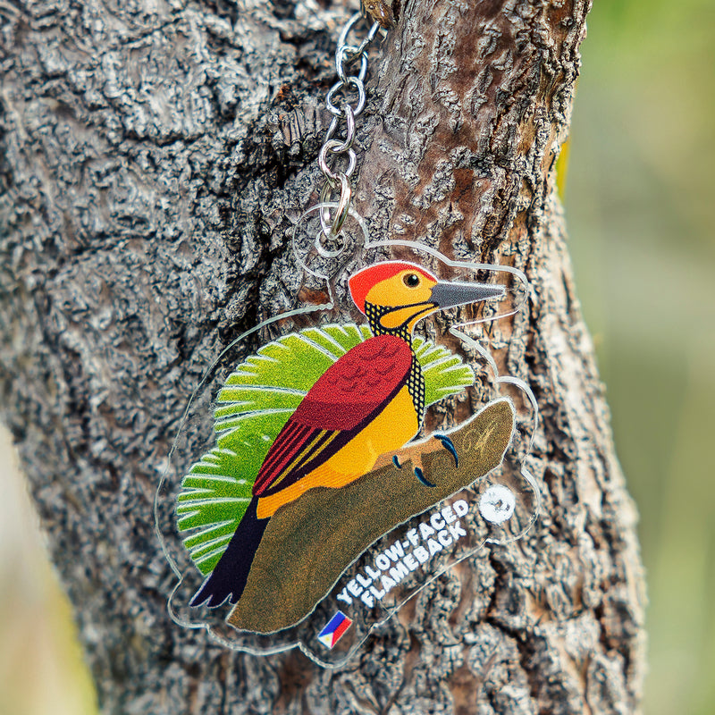 10 Must-see Birds of the Philippines Keychains