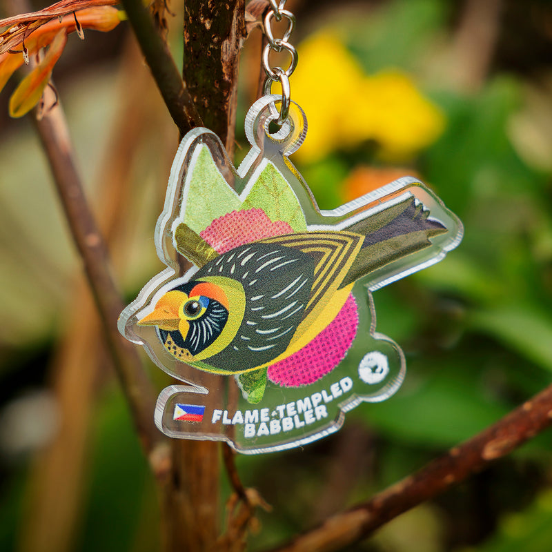 10 Must-see Birds of the Philippines Keychains