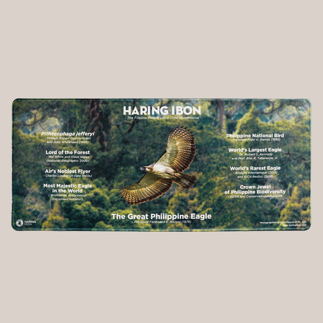 Haring Ibon Mouse pads