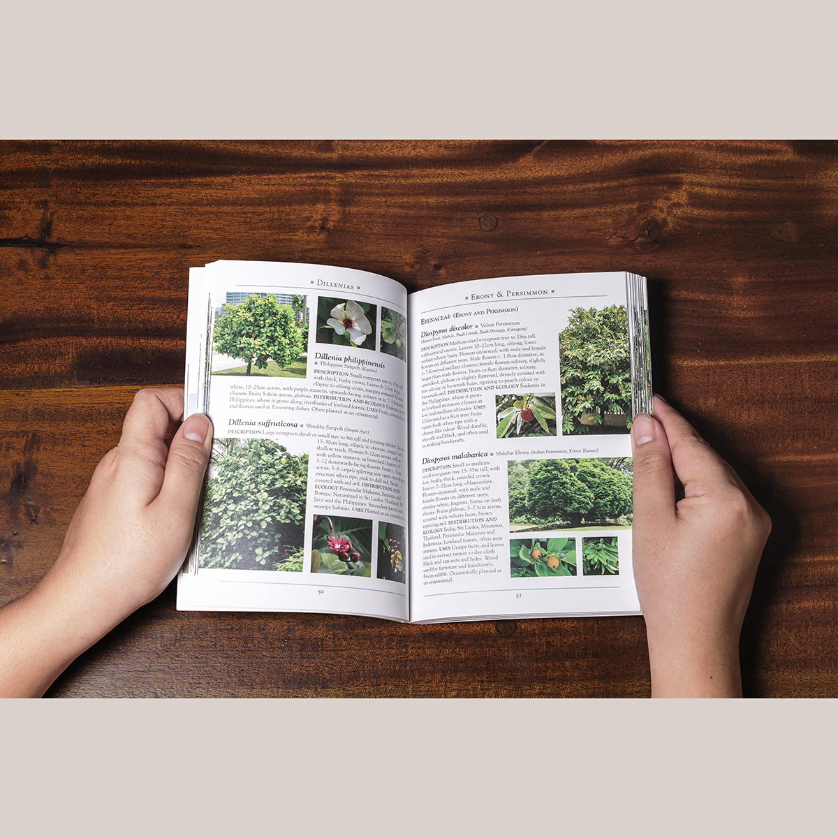 A Naturalist’s Guide to the Trees of Southeast Asia