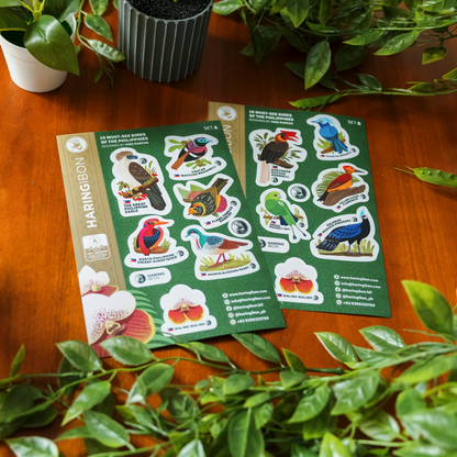 10 Must-see Birds of the Philippines Stickers 2-set