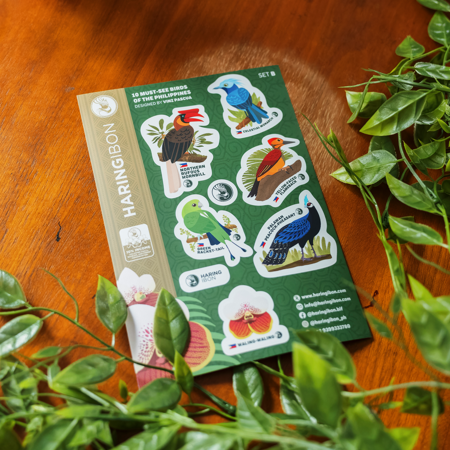 10 Must-see Birds of the Philippines Stickers 2-set