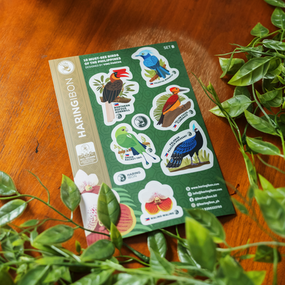 10 Must-see Birds of the Philippines Stickers 2-set