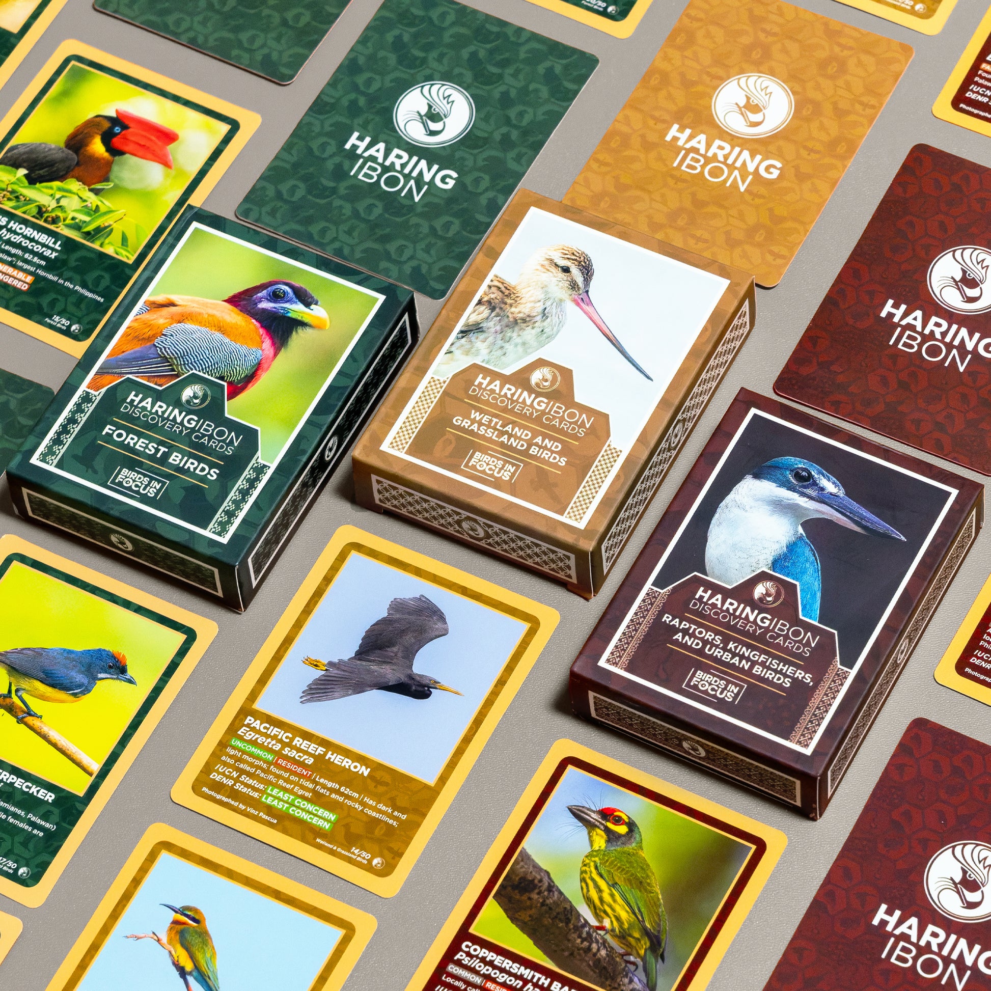 Haring Ibon Discovery Card Bundle