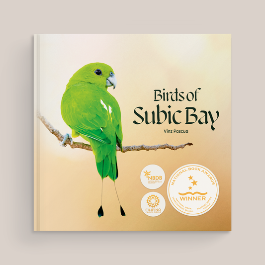 Birds of Subic Bay