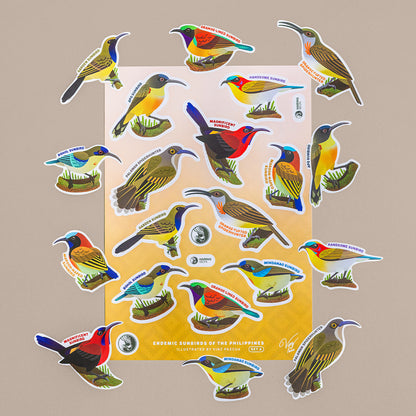 Birds of the Philippines Sticker Sheets
