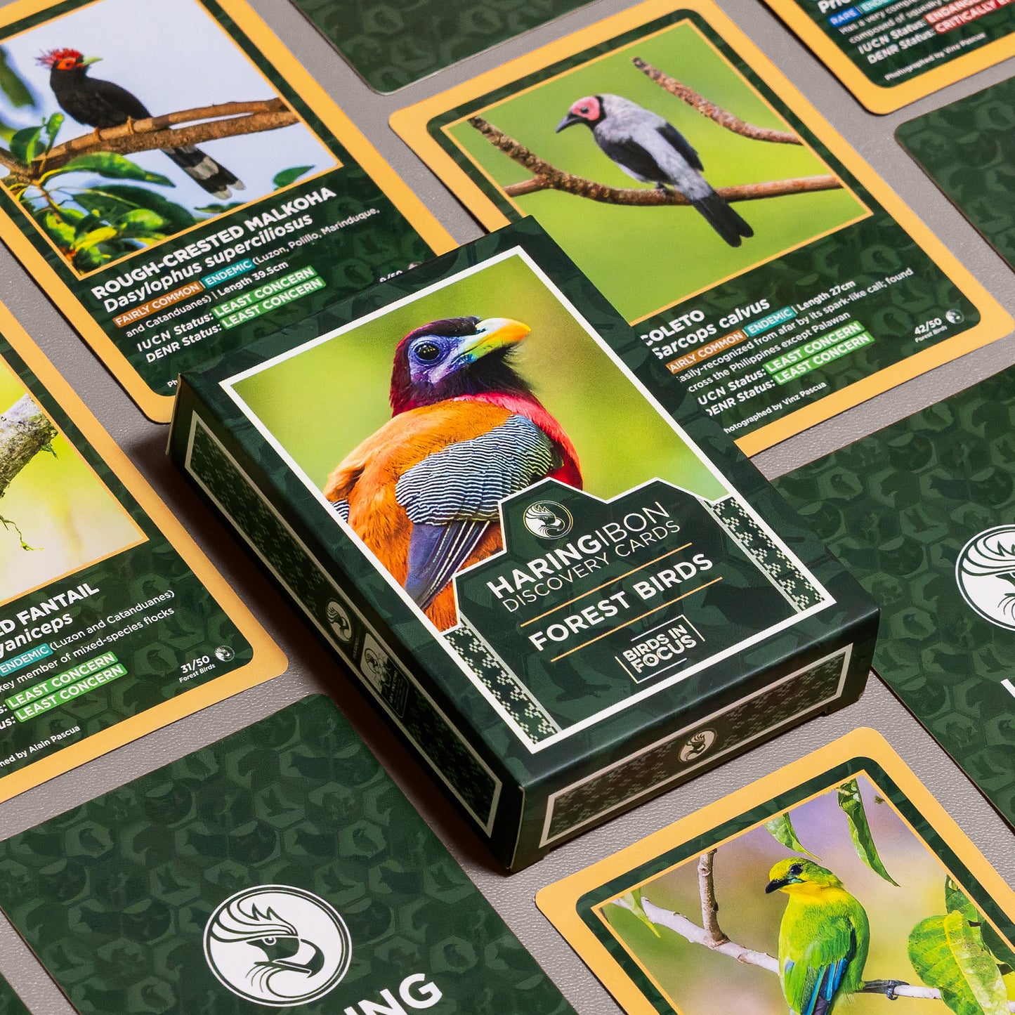 Haring Ibon Discovery Cards - Bundle of 3