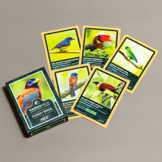 Haring Ibon Discovery Cards: Forest Birds