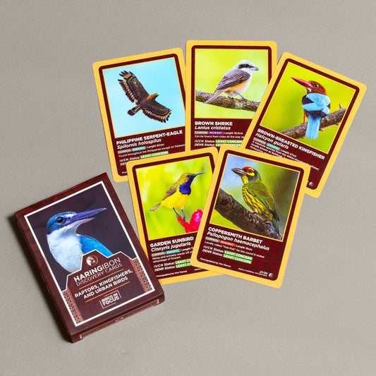 Haring Ibon Discovery Cards: Raptors, Kingfishers, and Urban Birds