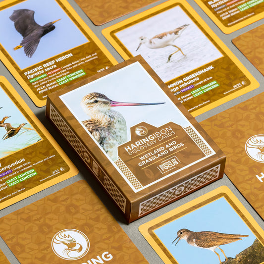 Haring Ibon Discovery Cards: Wetland and Grassland Birds