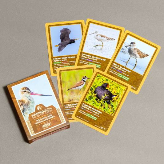Haring Ibon Discovery Cards: Wetland and Grassland Birds