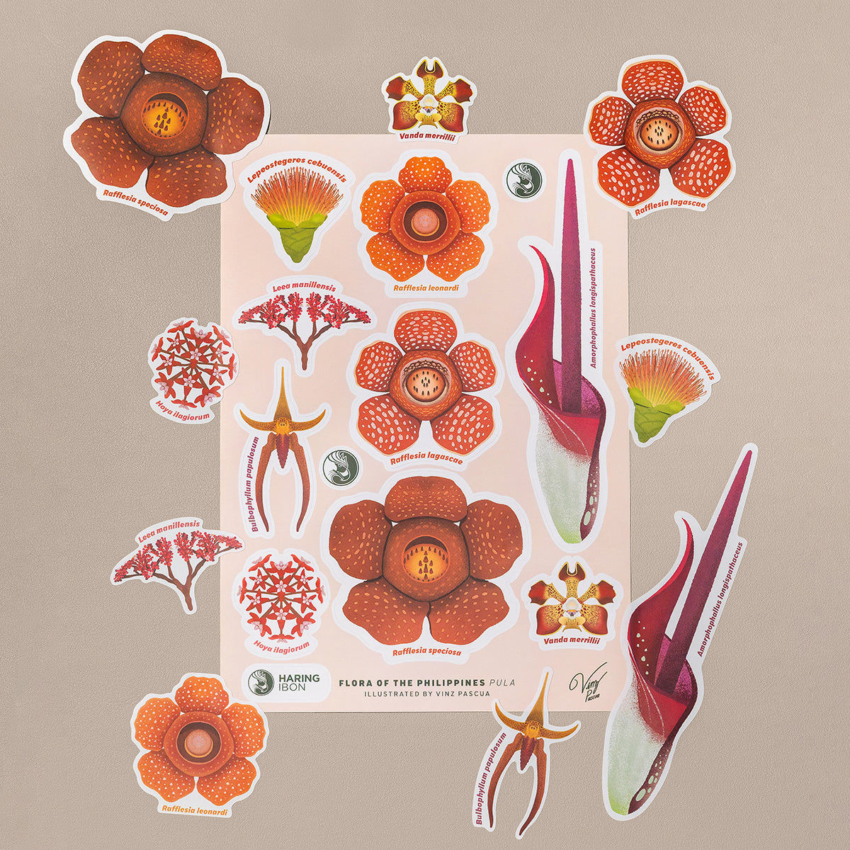 Flora of the Philippines Sticker Sheets