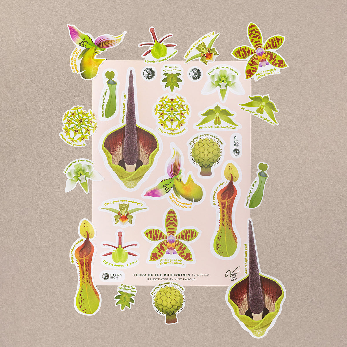 Flora of the Philippines Sticker Sheets