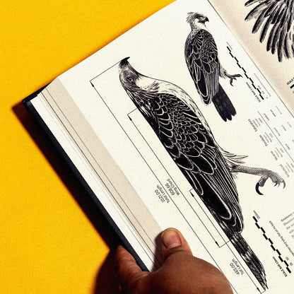 Lord of the Forest: The Fall and Rise of the Great Philippine Eagle