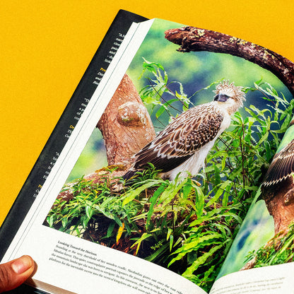 Lord of the Forest: The Fall and Rise of the Great Philippine Eagle
