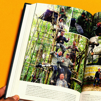 Lord of the Forest: The Fall and Rise of the Great Philippine Eagle