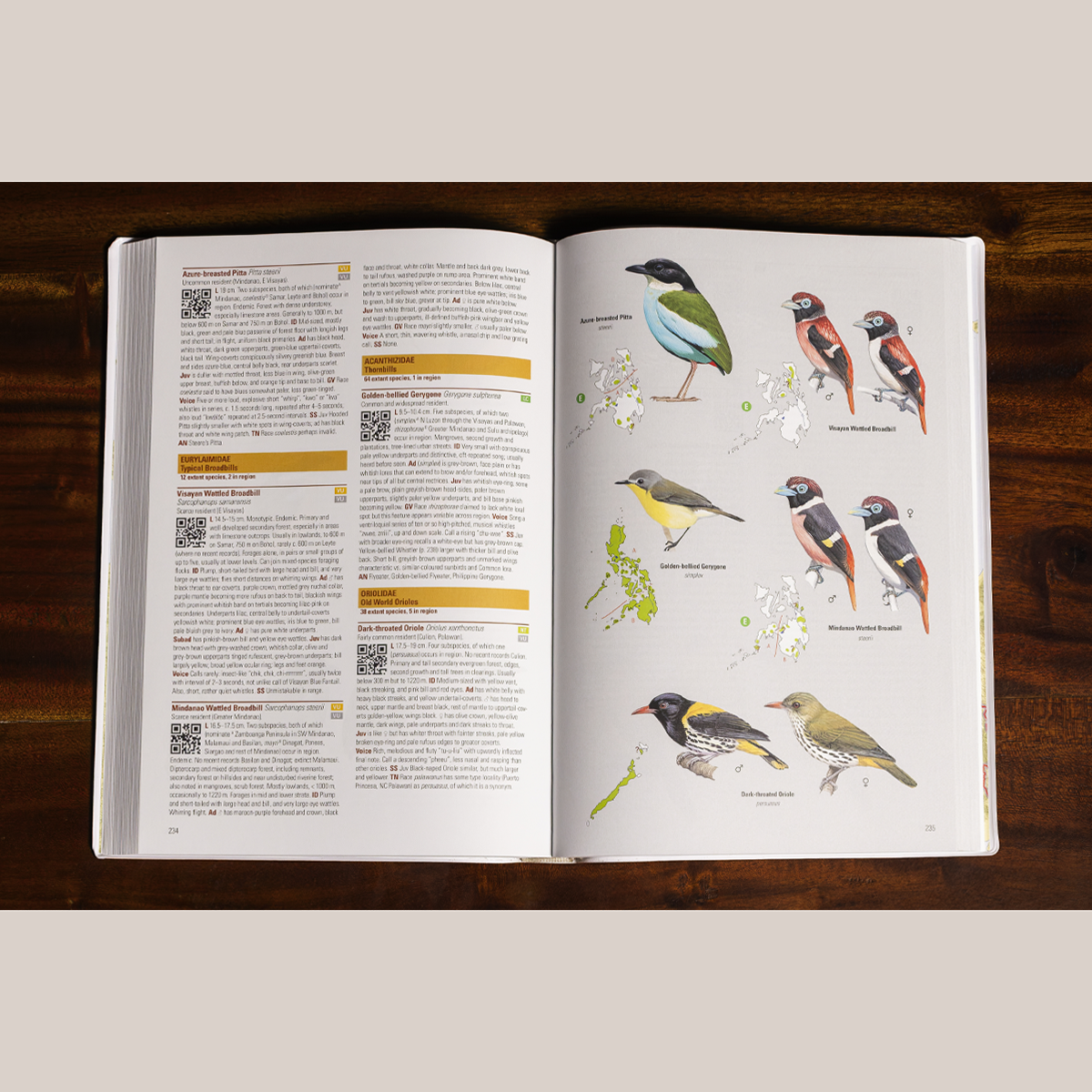 Birds of the Philippines (Flexicover)