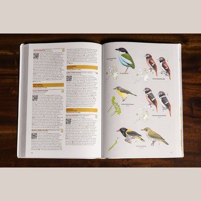 Birds of the Philippines (Flexicover)