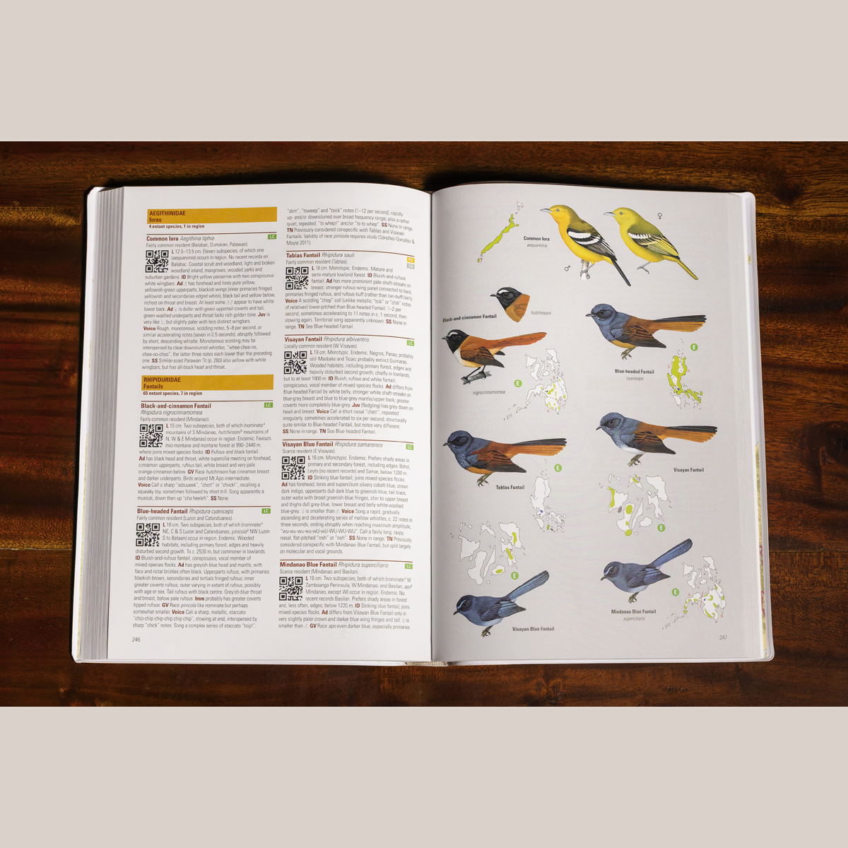 Birds of the Philippines (Flexicover)