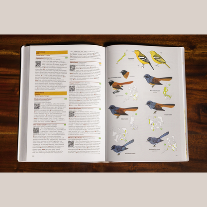 Birds of the Philippines (Flexicover)