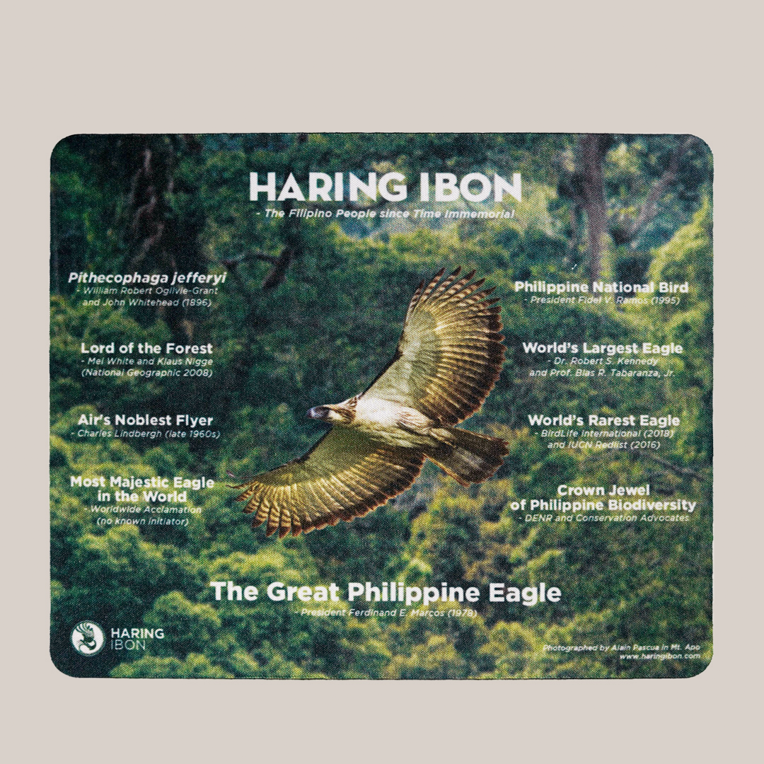 Haring Ibon Mouse pads
