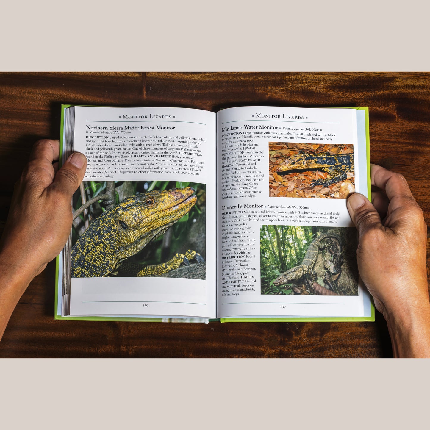 A Naturalist’s Guide to the Lizards of Southeast Asia